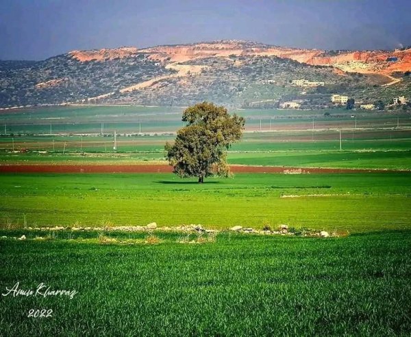 | موسوعة القرى الفلسطينية  | موسوعة القرى الفلسطينية