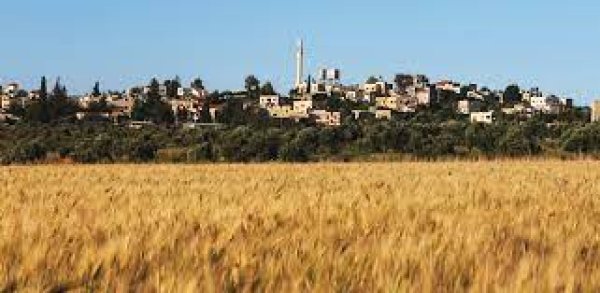 | موسوعة القرى الفلسطينية  | موسوعة القرى الفلسطينية