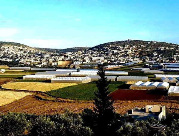 | موسوعة القرى الفلسطينية  | موسوعة القرى الفلسطينية