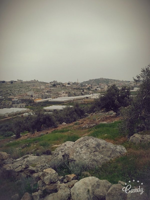 | موسوعة القرى الفلسطينية  | موسوعة القرى الفلسطينية