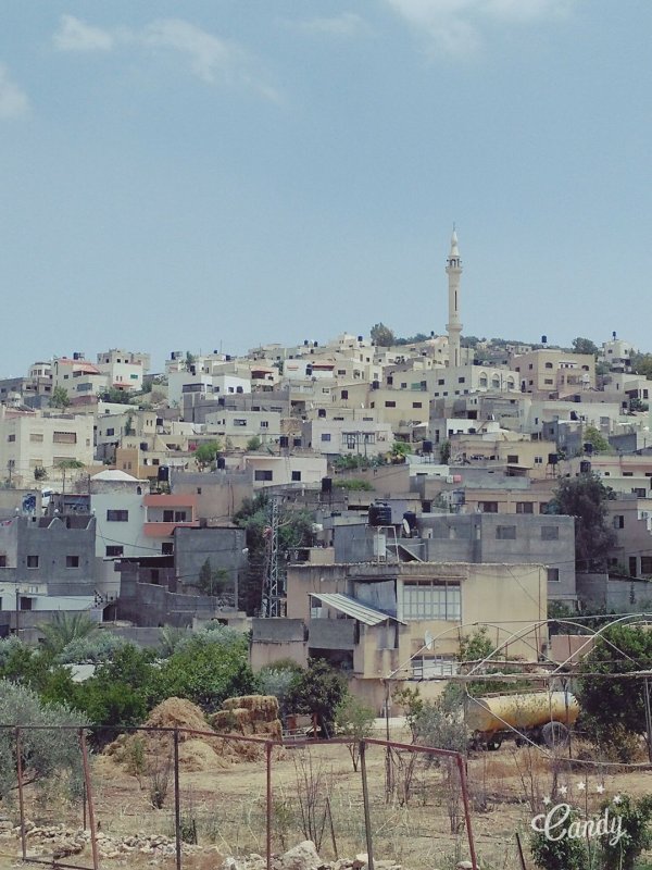 | موسوعة القرى الفلسطينية  | موسوعة القرى الفلسطينية