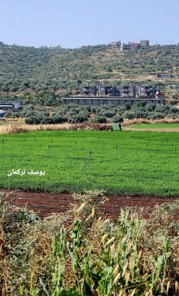 | موسوعة القرى الفلسطينية  | موسوعة القرى الفلسطينية