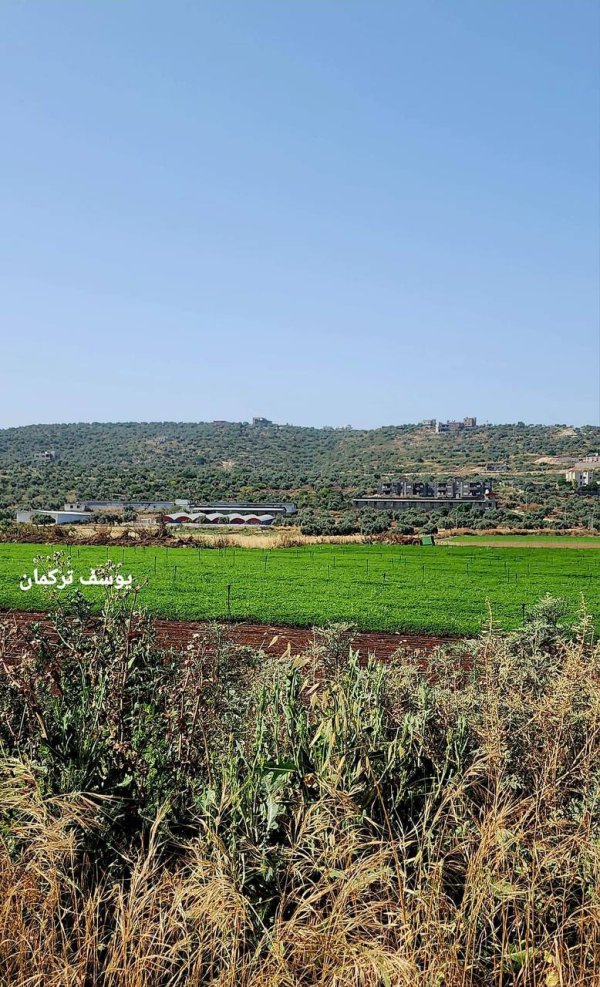 | موسوعة القرى الفلسطينية  | موسوعة القرى الفلسطينية