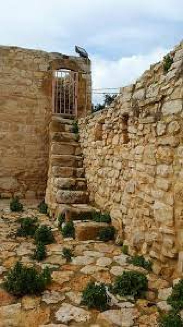| موسوعة القرى الفلسطينية  | موسوعة القرى الفلسطينية