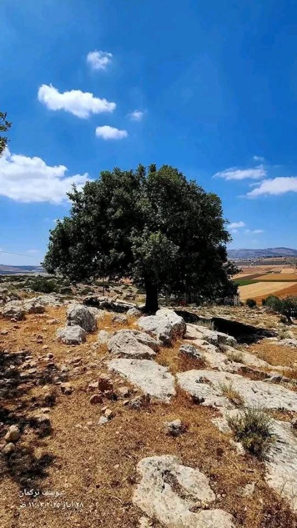 | موسوعة القرى الفلسطينية  | موسوعة القرى الفلسطينية