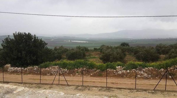 | موسوعة القرى الفلسطينية  | موسوعة القرى الفلسطينية