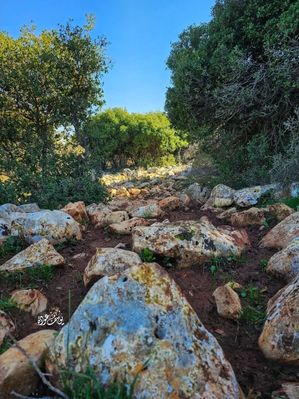 | موسوعة القرى الفلسطينية  | موسوعة القرى الفلسطينية