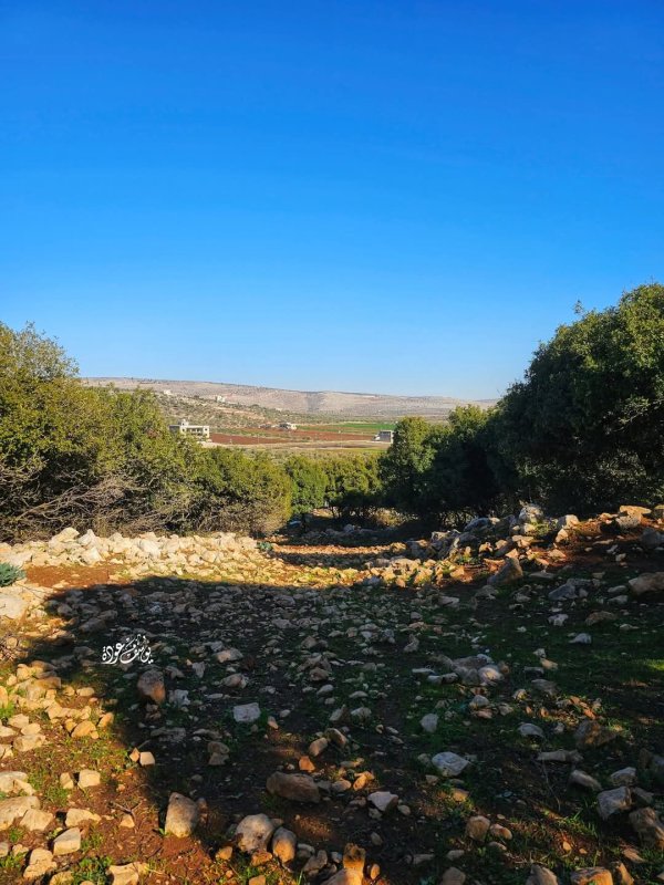 | موسوعة القرى الفلسطينية  | موسوعة القرى الفلسطينية