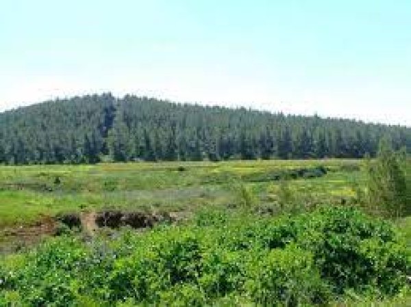 | موسوعة القرى الفلسطينية  | موسوعة القرى الفلسطينية