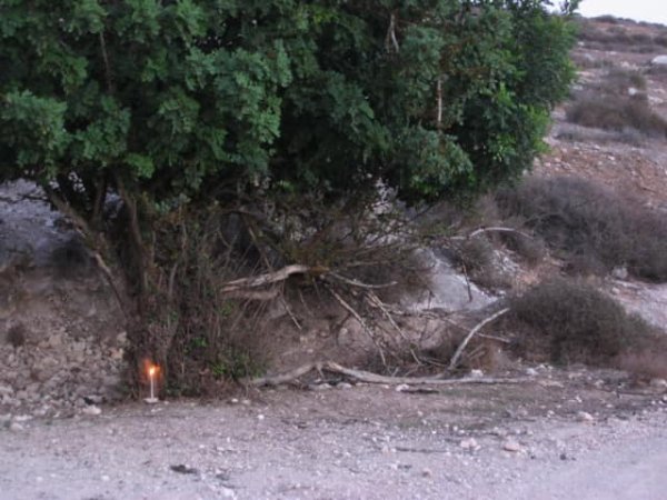 | موسوعة القرى الفلسطينية  | موسوعة القرى الفلسطينية