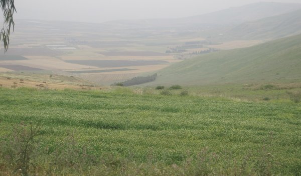 | موسوعة القرى الفلسطينية  | موسوعة القرى الفلسطينية