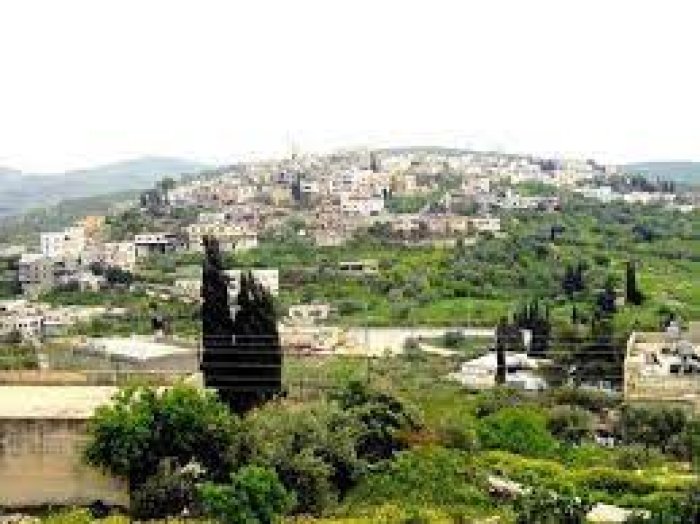 تل  | موسوعة القرى الفلسطينية