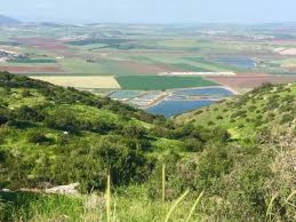 | موسوعة القرى الفلسطينية  | موسوعة القرى الفلسطينية