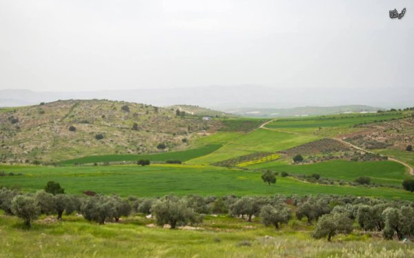 | موسوعة القرى الفلسطينية  | موسوعة القرى الفلسطينية