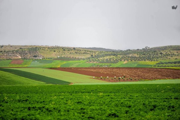 | موسوعة القرى الفلسطينية  | موسوعة القرى الفلسطينية