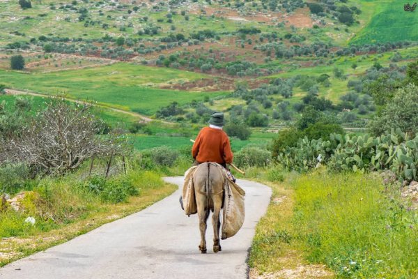 | موسوعة القرى الفلسطينية  | موسوعة القرى الفلسطينية