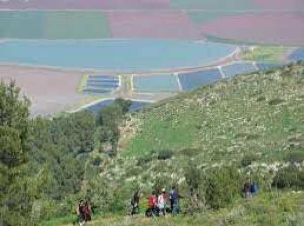 | موسوعة القرى الفلسطينية  | موسوعة القرى الفلسطينية