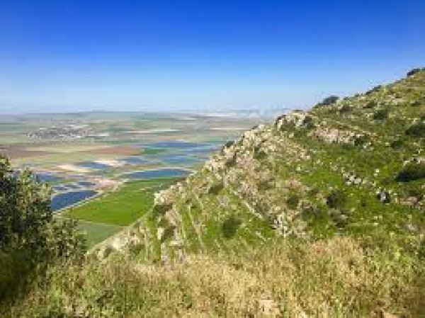 | موسوعة القرى الفلسطينية  | موسوعة القرى الفلسطينية