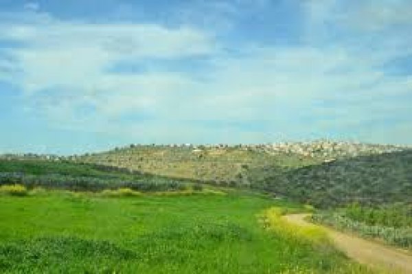 | موسوعة القرى الفلسطينية  | موسوعة القرى الفلسطينية