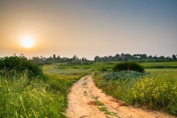 | موسوعة القرى الفلسطينية  | موسوعة القرى الفلسطينية