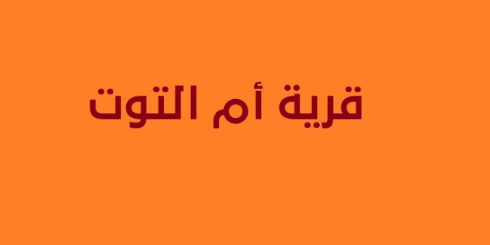 أم التوت/ قرى الروحة  | موسوعة القرى الفلسطينية