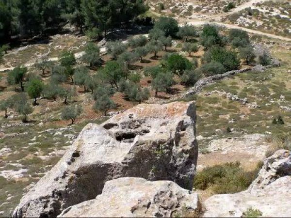 | موسوعة القرى الفلسطينية  | موسوعة القرى الفلسطينية