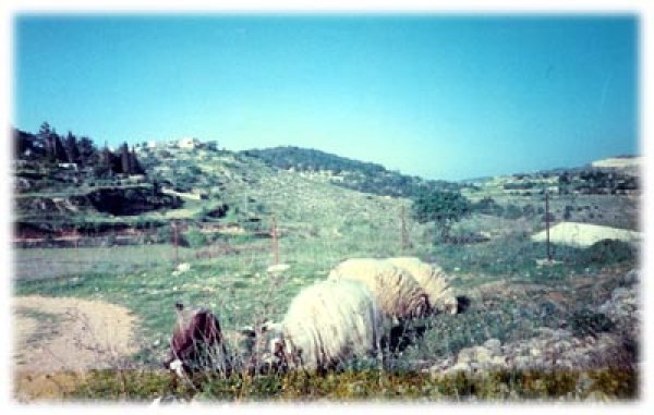 | موسوعة القرى الفلسطينية  | موسوعة القرى الفلسطينية
