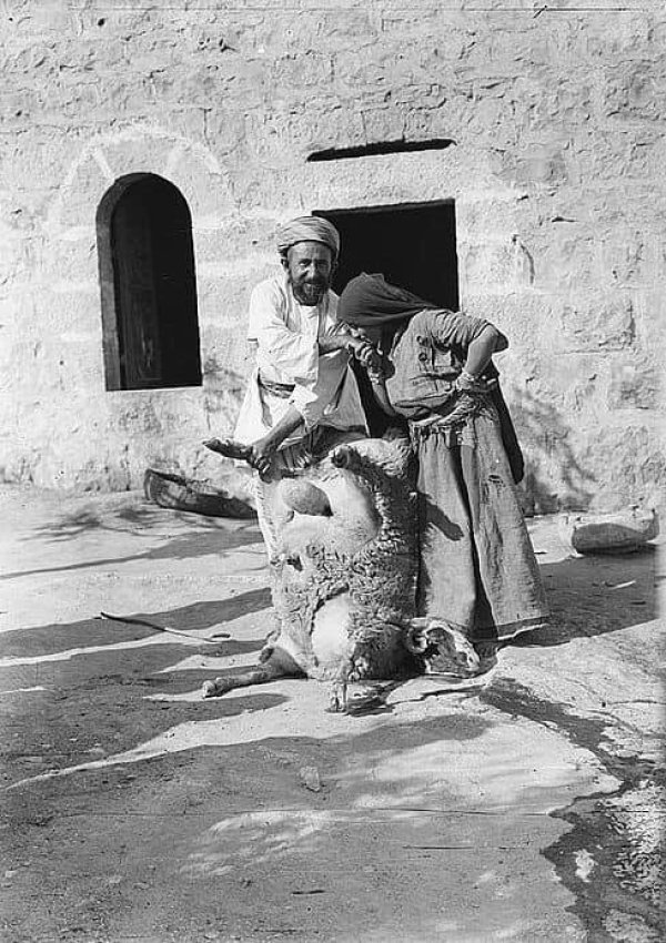 | موسوعة القرى الفلسطينية  | موسوعة القرى الفلسطينية