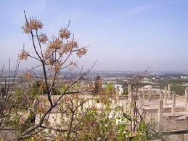  | موسوعة القرى الفلسطينية