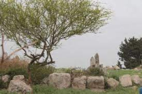  | موسوعة القرى الفلسطينية