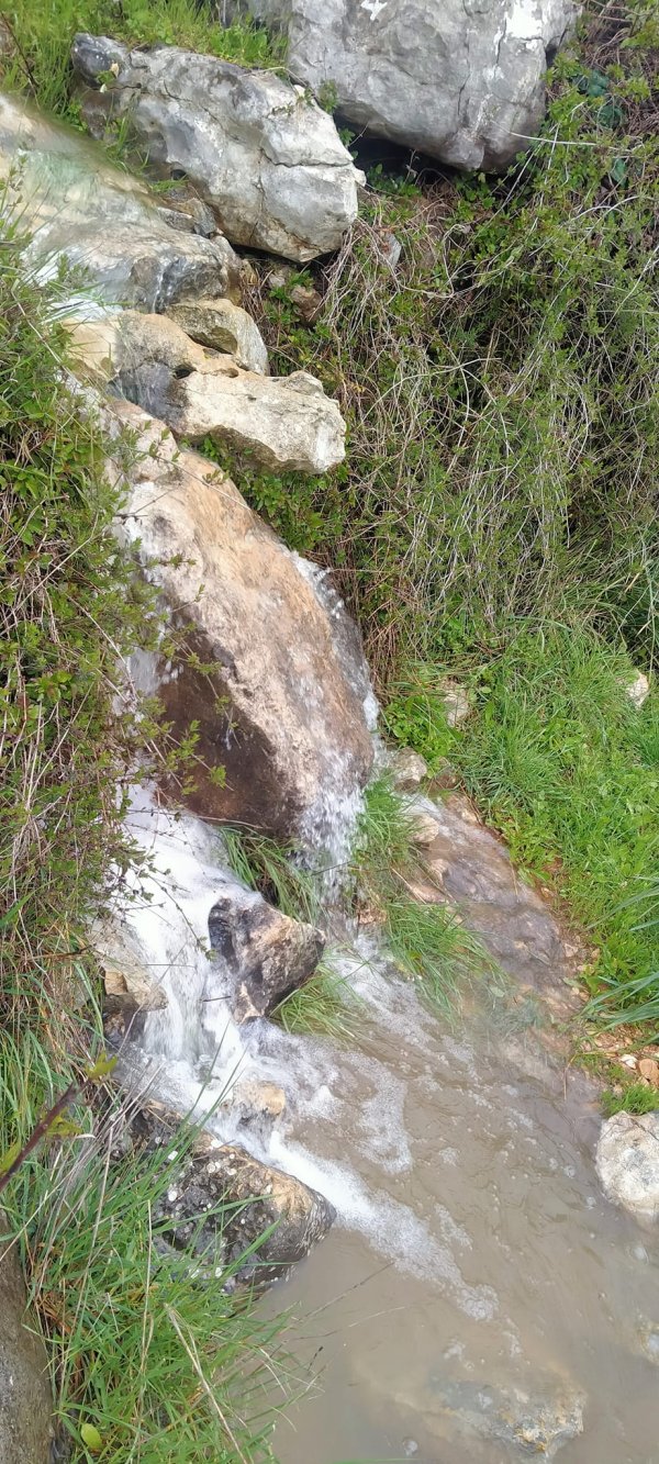 | موسوعة القرى الفلسطينية  | موسوعة القرى الفلسطينية