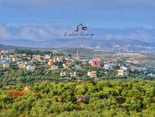 إطلالة من قرية عنزة في محافظة جنين، بعدسة Zaher sadaqa
