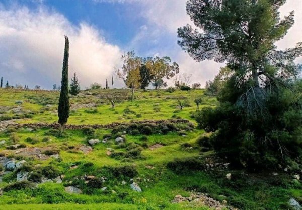 | موسوعة القرى الفلسطينية  | موسوعة القرى الفلسطينية