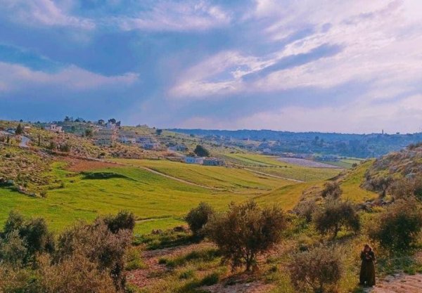 | موسوعة القرى الفلسطينية  | موسوعة القرى الفلسطينية
