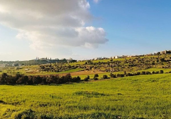 | موسوعة القرى الفلسطينية  | موسوعة القرى الفلسطينية