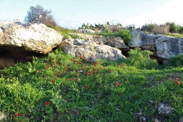 قرية بيت مرسم / دورا / الخليل