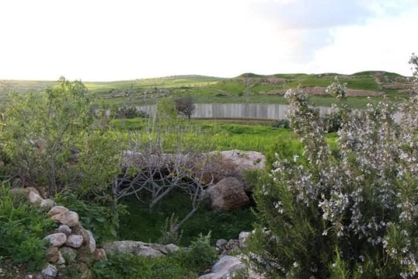 قرية بيت مرسم / دورا / الخليل