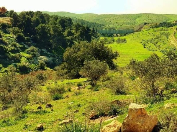 قرية بيت مرسم / دورا / الخليل