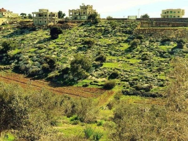 قرية بيت مرسم / دورا / الخليل