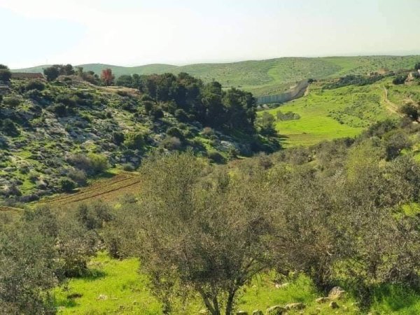 قرية بيت مرسم / دورا / الخليل