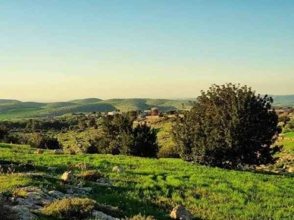 قرية بيت مرسم / دورا / الخليل