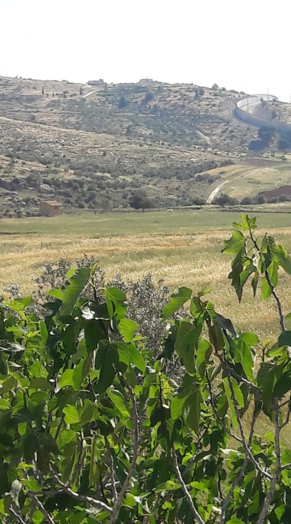 خربة أبو سحويله / دورا / الخليل