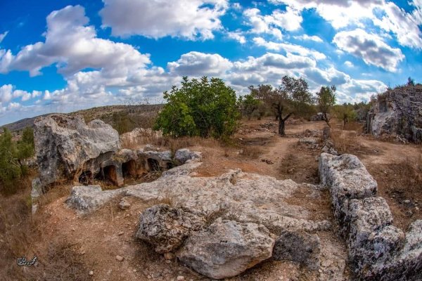 | موسوعة القرى الفلسطينية  | موسوعة القرى الفلسطينية