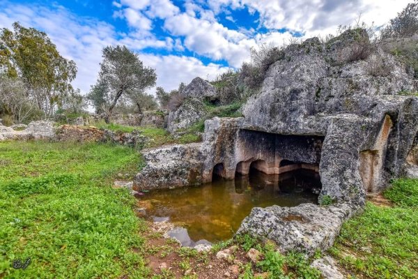 | موسوعة القرى الفلسطينية  | موسوعة القرى الفلسطينية