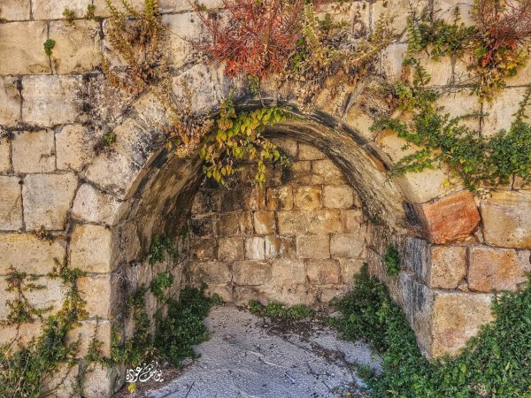 | موسوعة القرى الفلسطينية  | موسوعة القرى الفلسطينية