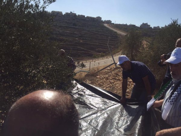 | موسوعة القرى الفلسطينية  | موسوعة القرى الفلسطينية