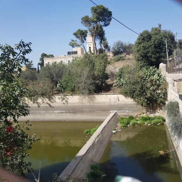 | موسوعة القرى الفلسطينية  | موسوعة القرى الفلسطينية