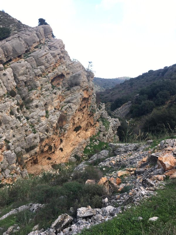 | موسوعة القرى الفلسطينية  | موسوعة القرى الفلسطينية