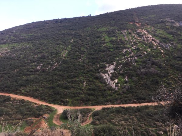 | موسوعة القرى الفلسطينية  | موسوعة القرى الفلسطينية