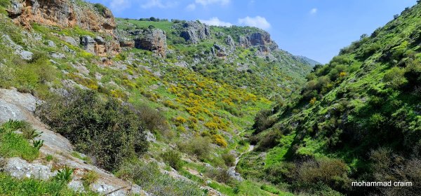 | موسوعة القرى الفلسطينية  | موسوعة القرى الفلسطينية